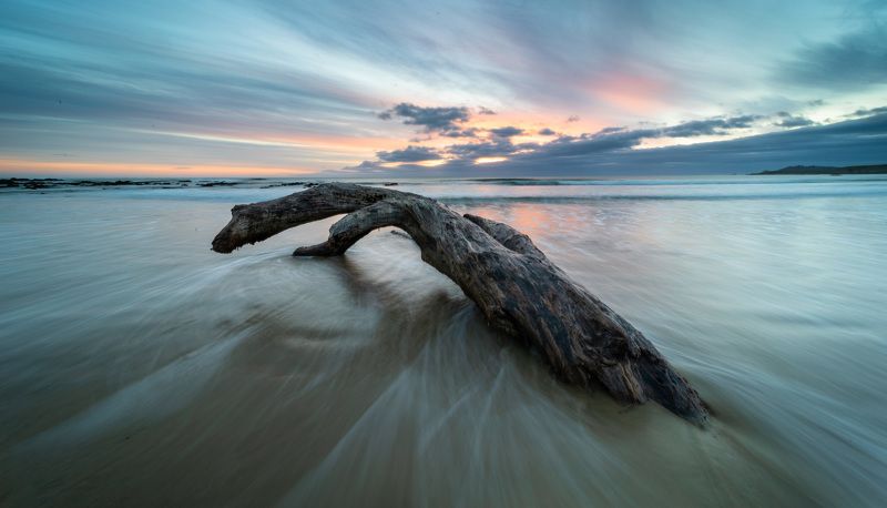 Дракон фото превью