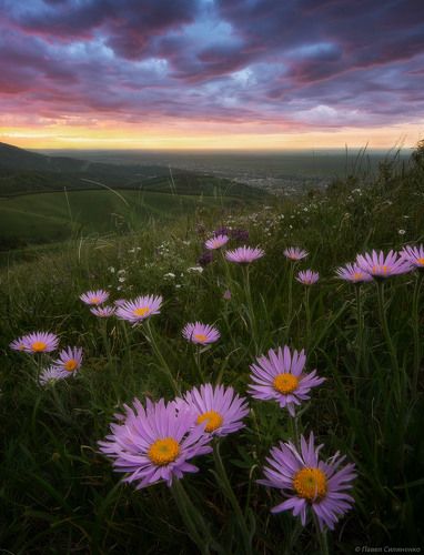 Летний вечер