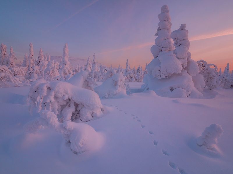 Там на неведомых дорожках... фото превью