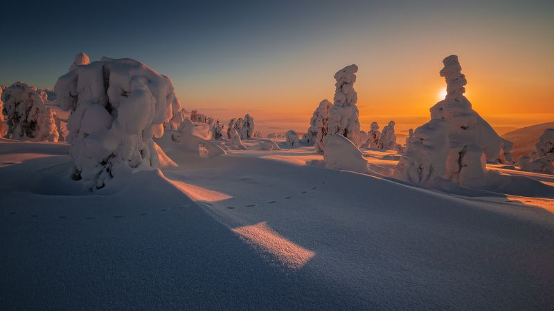 Ближе к вечеру. фото превью