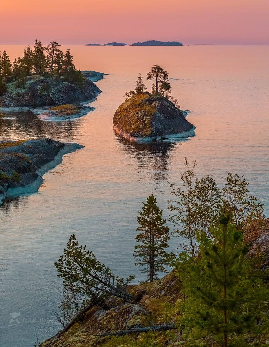 ладожское озеро, карелия, лето, август, остров, рассвет, заря, сосна, берёза, острова, шхеры,, Лашков Фёдор
