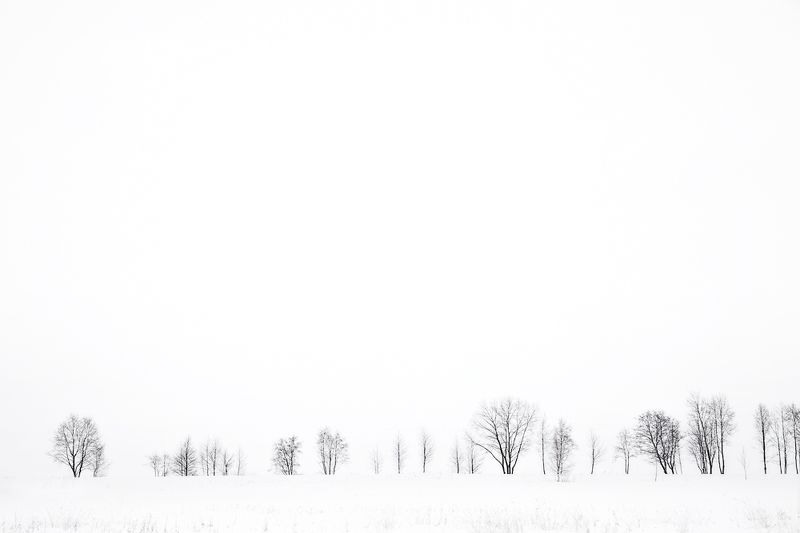 штрихкод, пейзаж, зима, чб Штрихкод фото превью