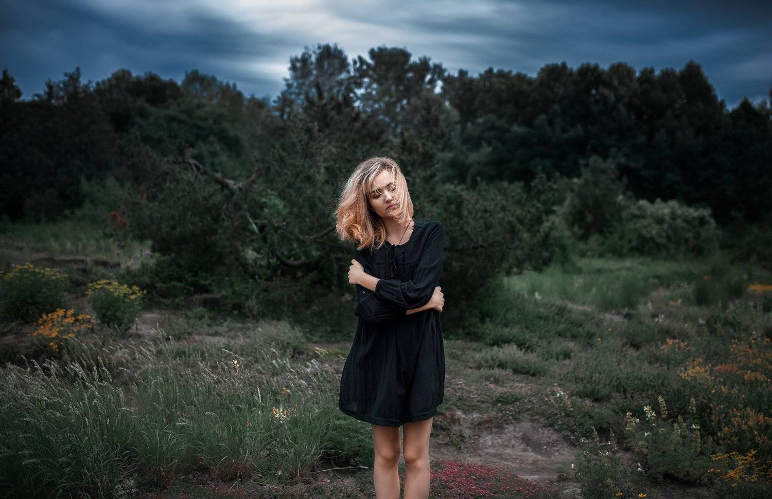 , Альберт Лесной