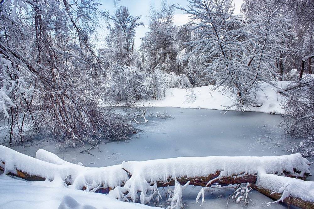 , Элина Магалимова