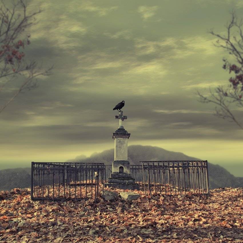 crow, mounting, leaf, tree, sky, shinning, cementery, statue, crosss, Caras Ionut