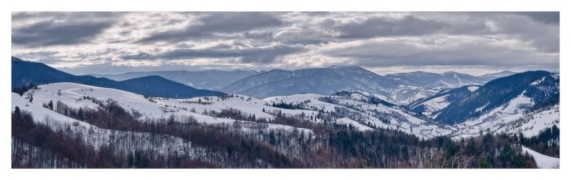 карпаты, зима, снег --- фото превью