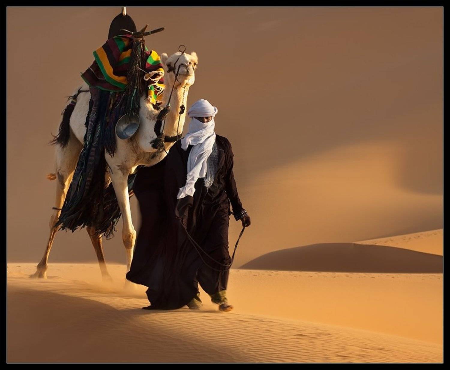 сахара, караван,ливия, дюна, песок, туарег, Виктория Роготнева