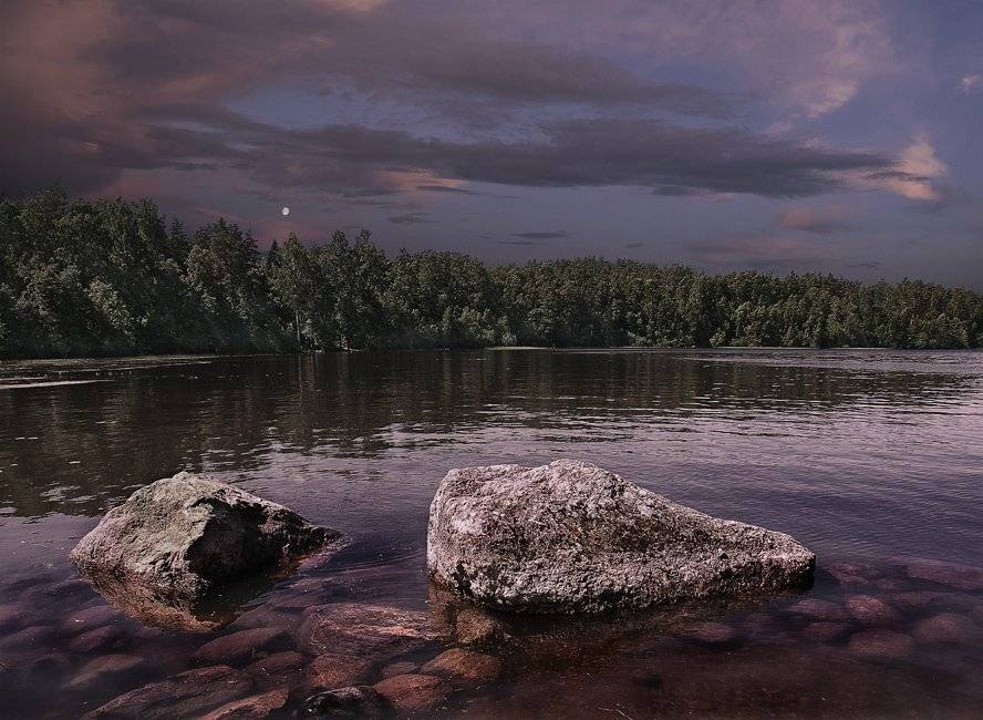 , Сергей Пархоменко