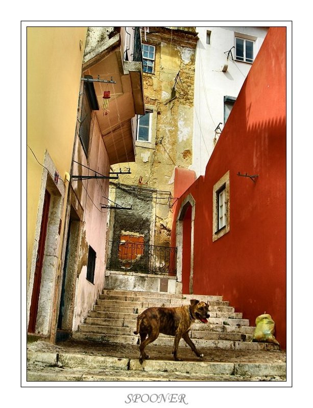 * * * фото превью