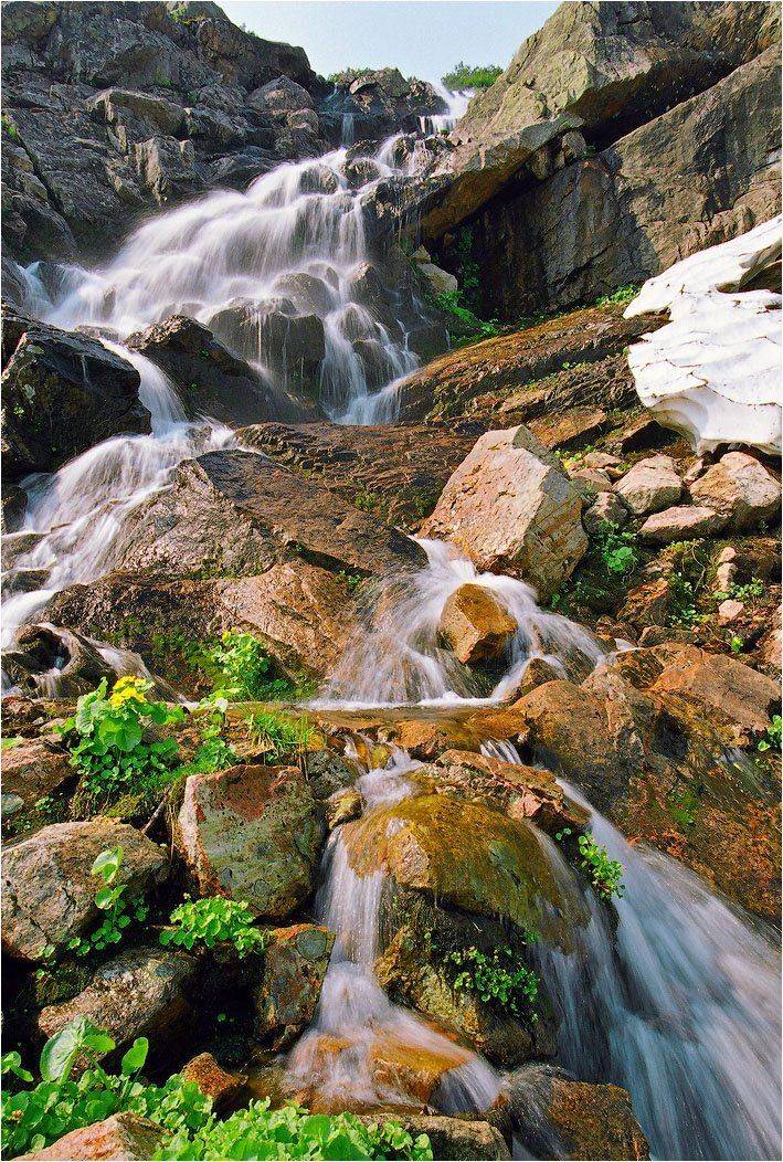 поднебесные, зубья, Александр Устинович