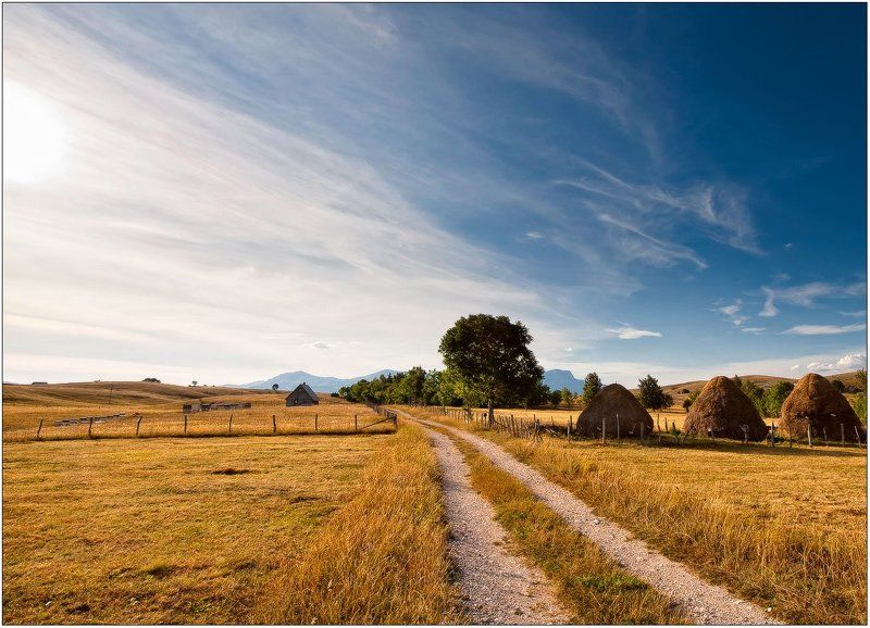 горы,горная деревня,дорога,дом дорога к дому... фото превью