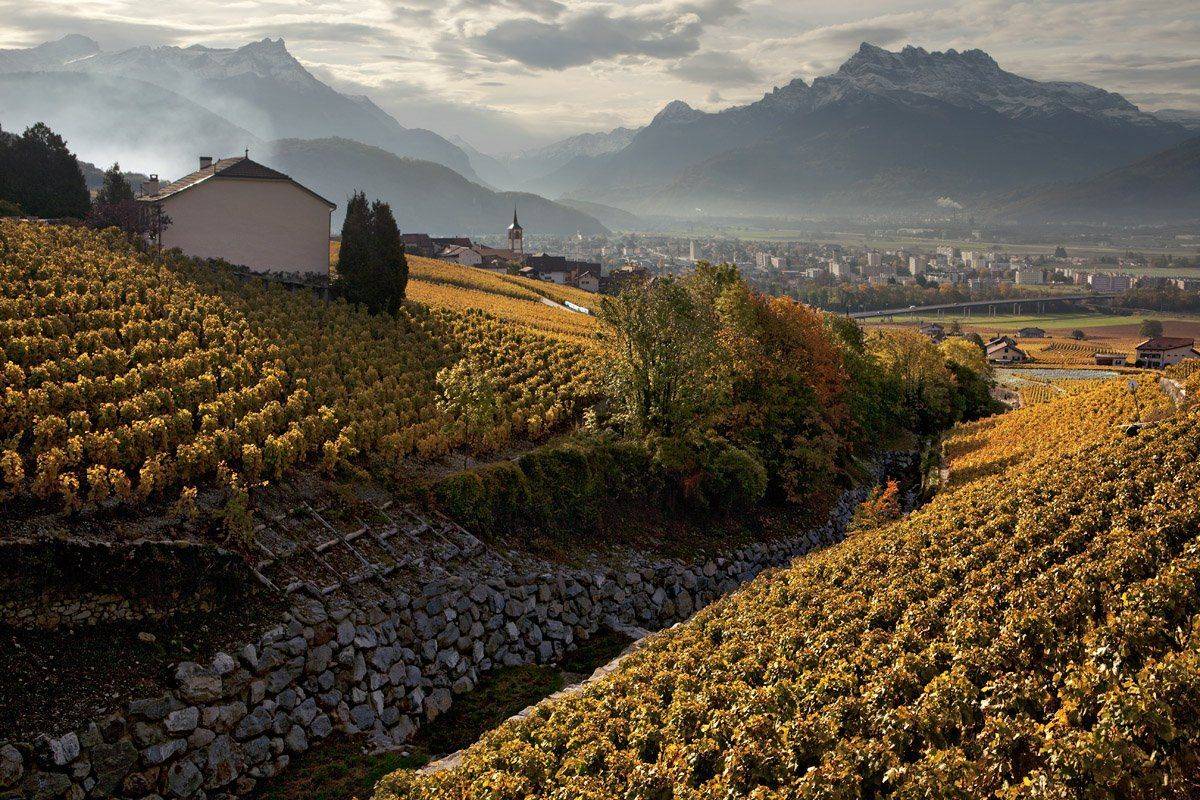 swiss, Матвеев Николай