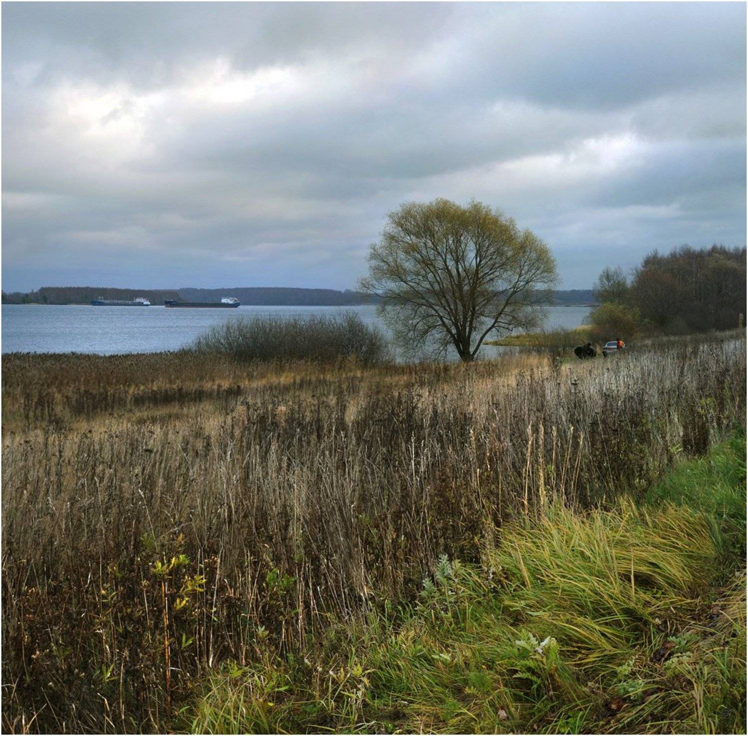 , Герман Корнилов