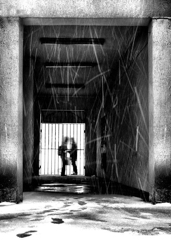 ... фото превью