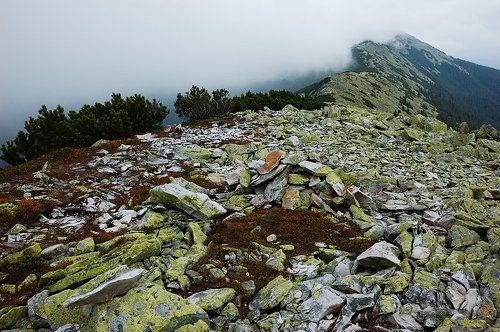 Ґорґанські розсипи / Placers of Gorgany