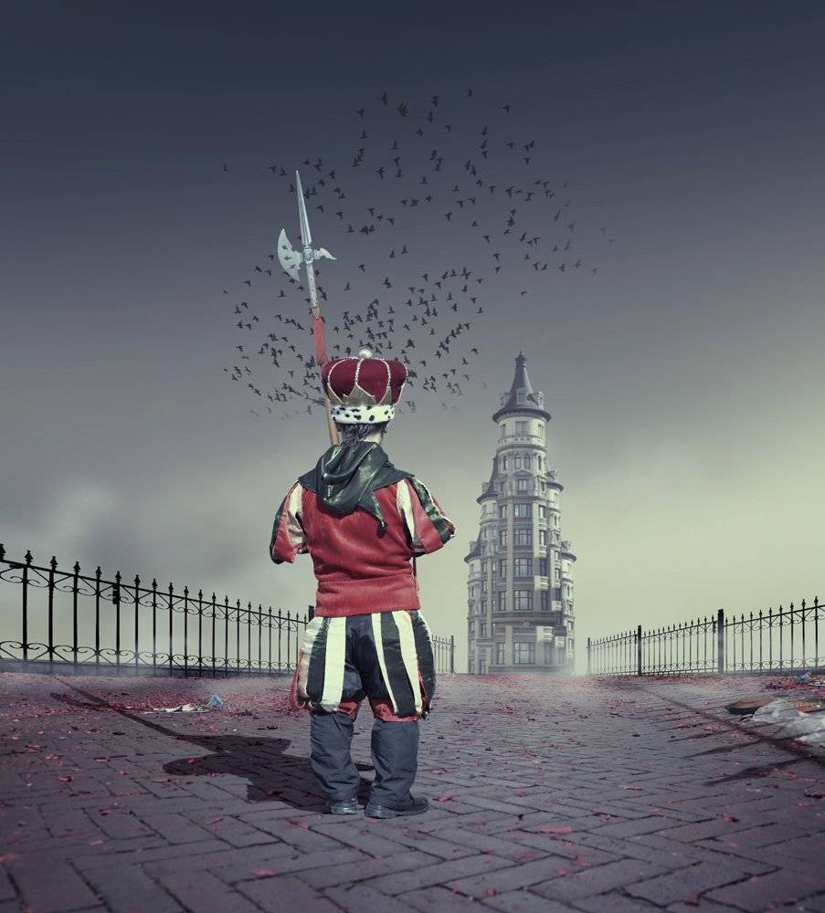 travel, castle, birds, road, fence, metal, light, mist, man, Caras Ionut