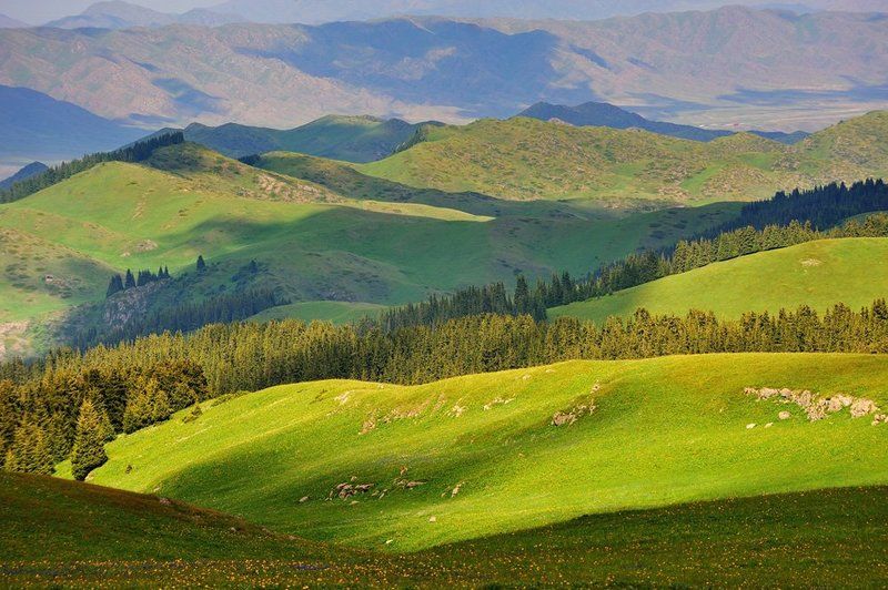 табан карагой, плато, казахстан плато Табан-Карагой фото превью