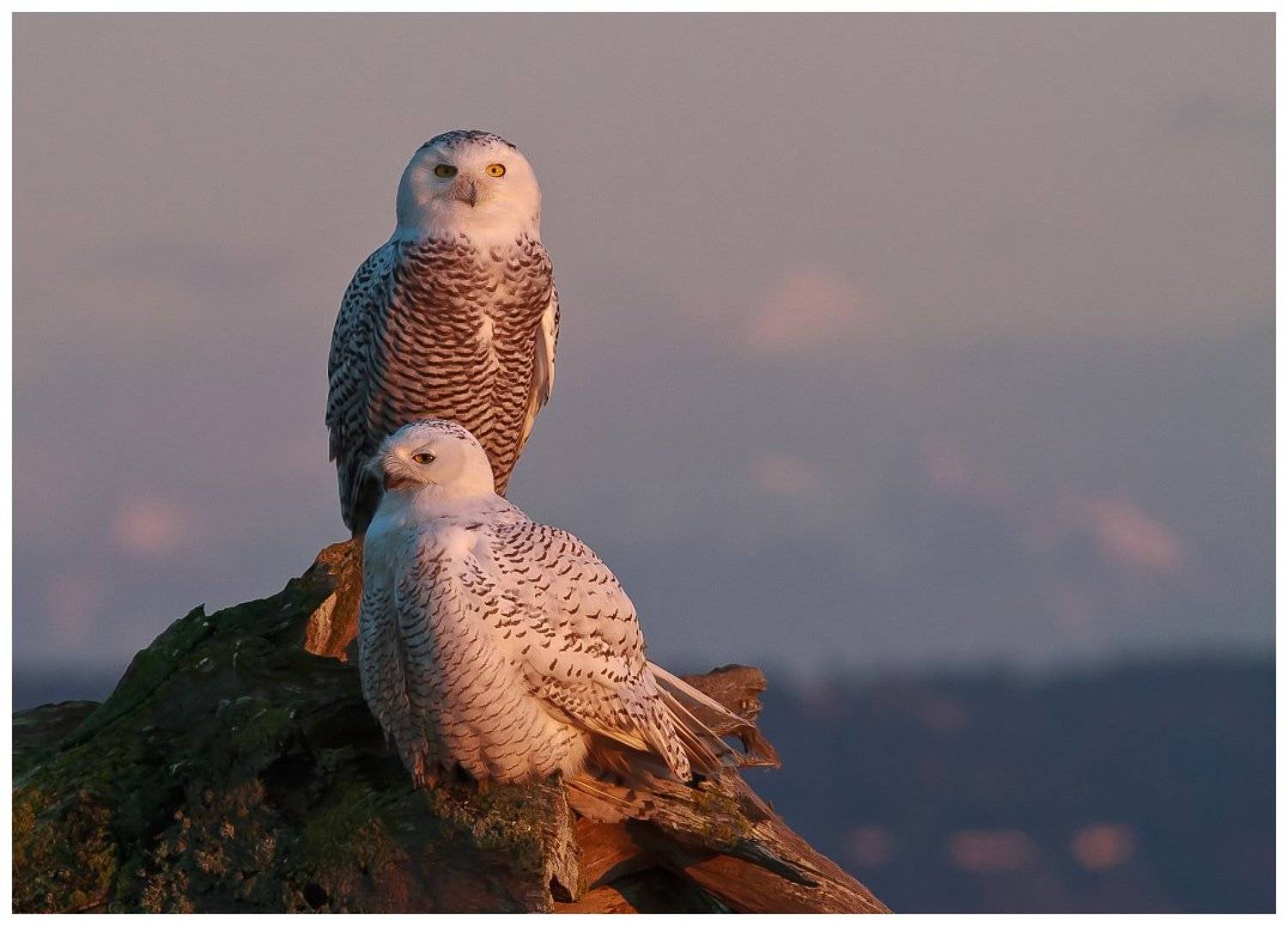 , ГеннадийАлексеич