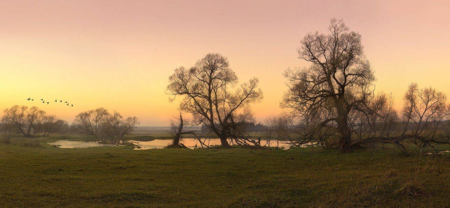 пейзаж, осень, Oleg Dmitriev