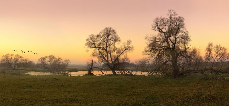 пейзаж, осень вот и осень пришла... фото превью