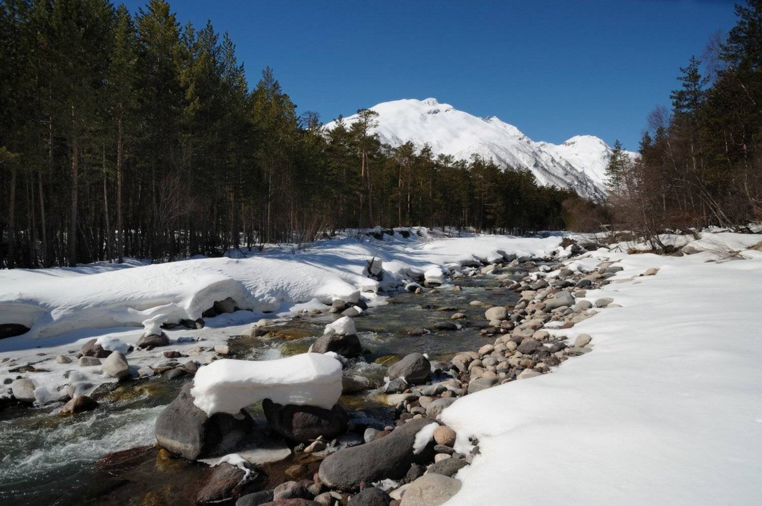 , Сергей Седов