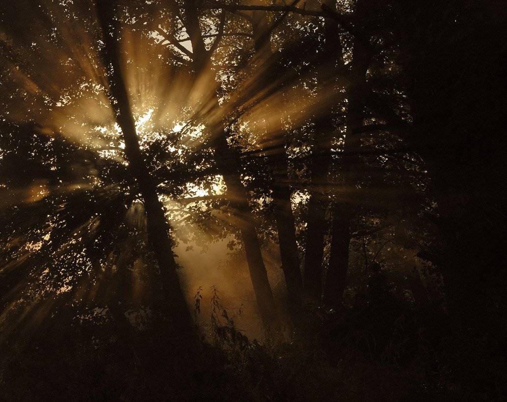 , Александр