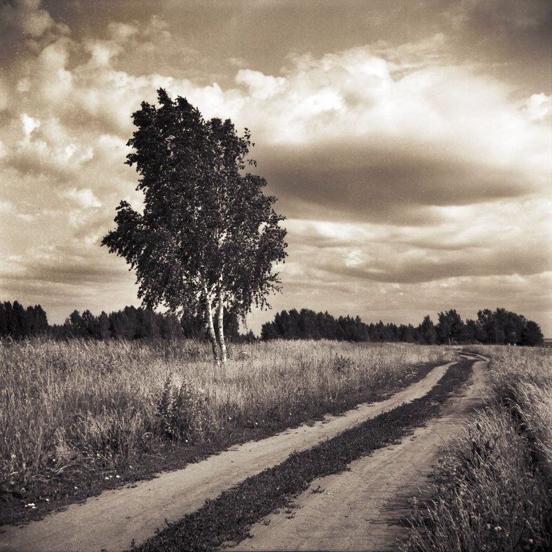 Pastoral фото превью