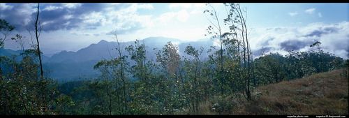 Мунар, Индия.