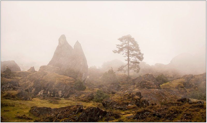 осень... фото превью