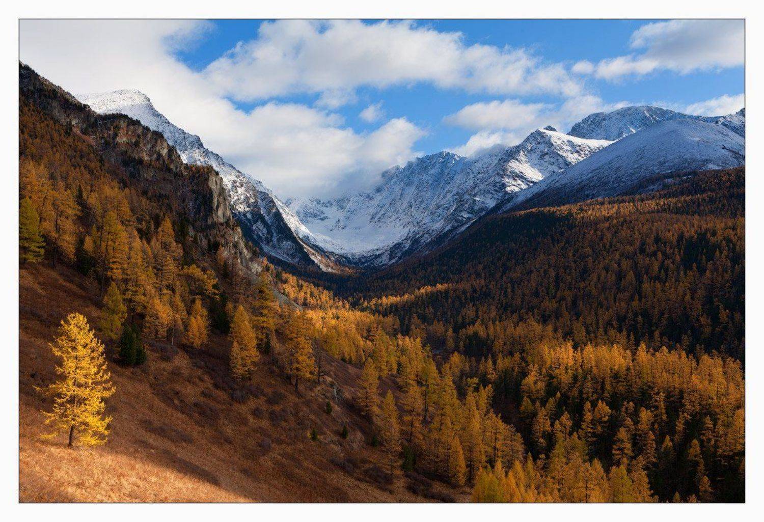 алтай, Михаил Мигушин