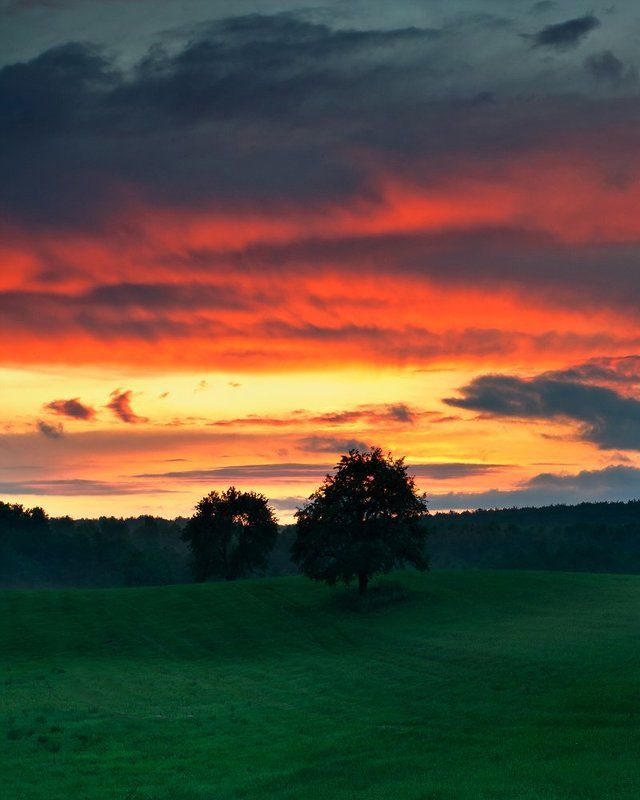 * фото превью