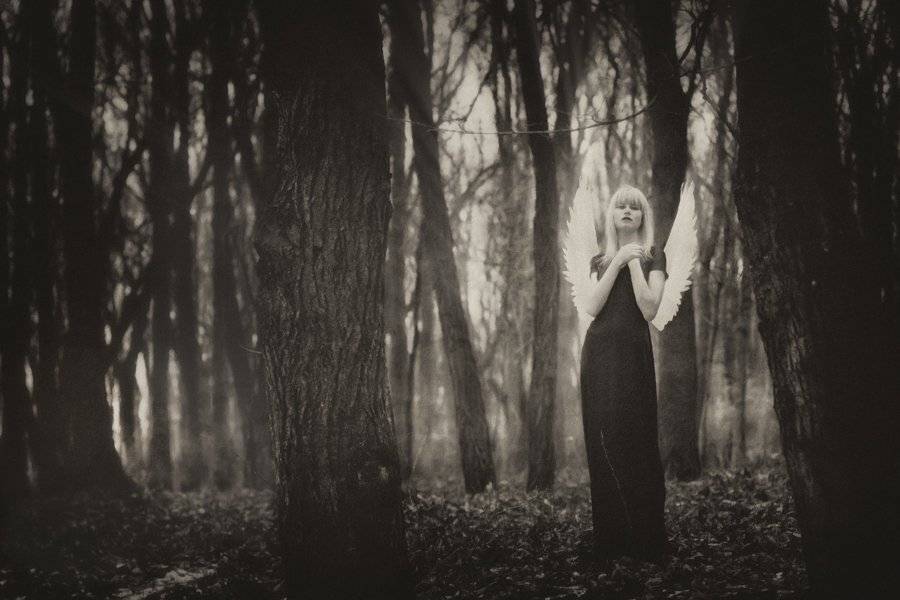 , Сарибекян Александр