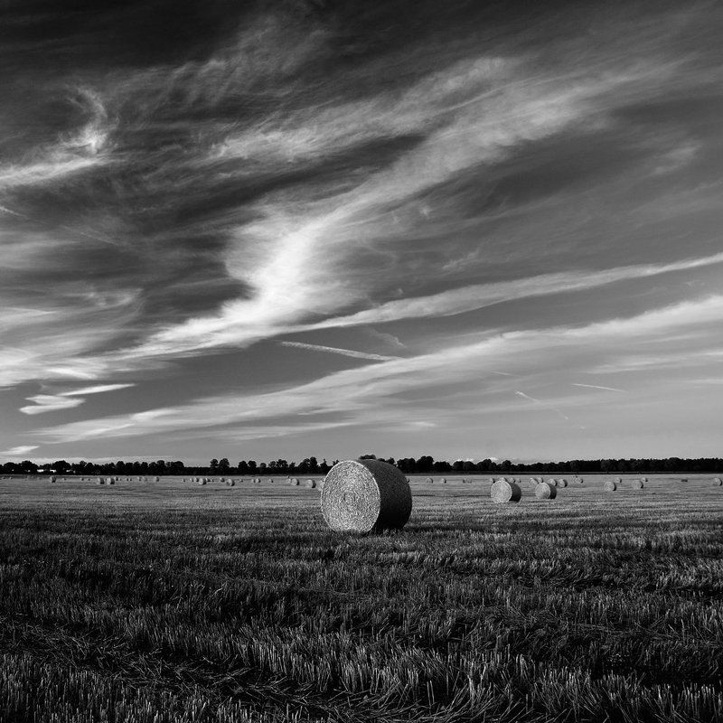 *** summer фото превью