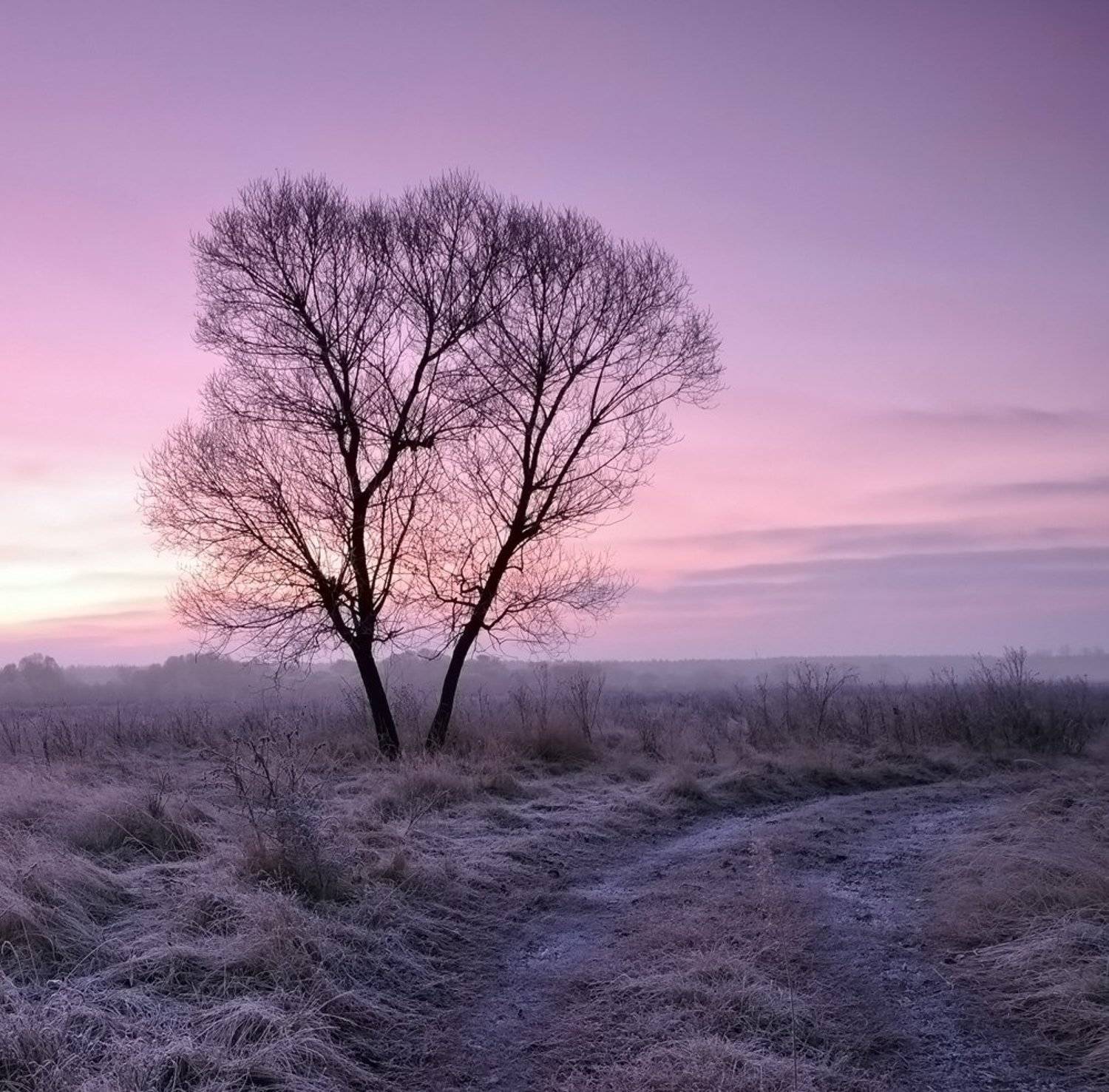 природа, пейзаж, Роман Шебанов