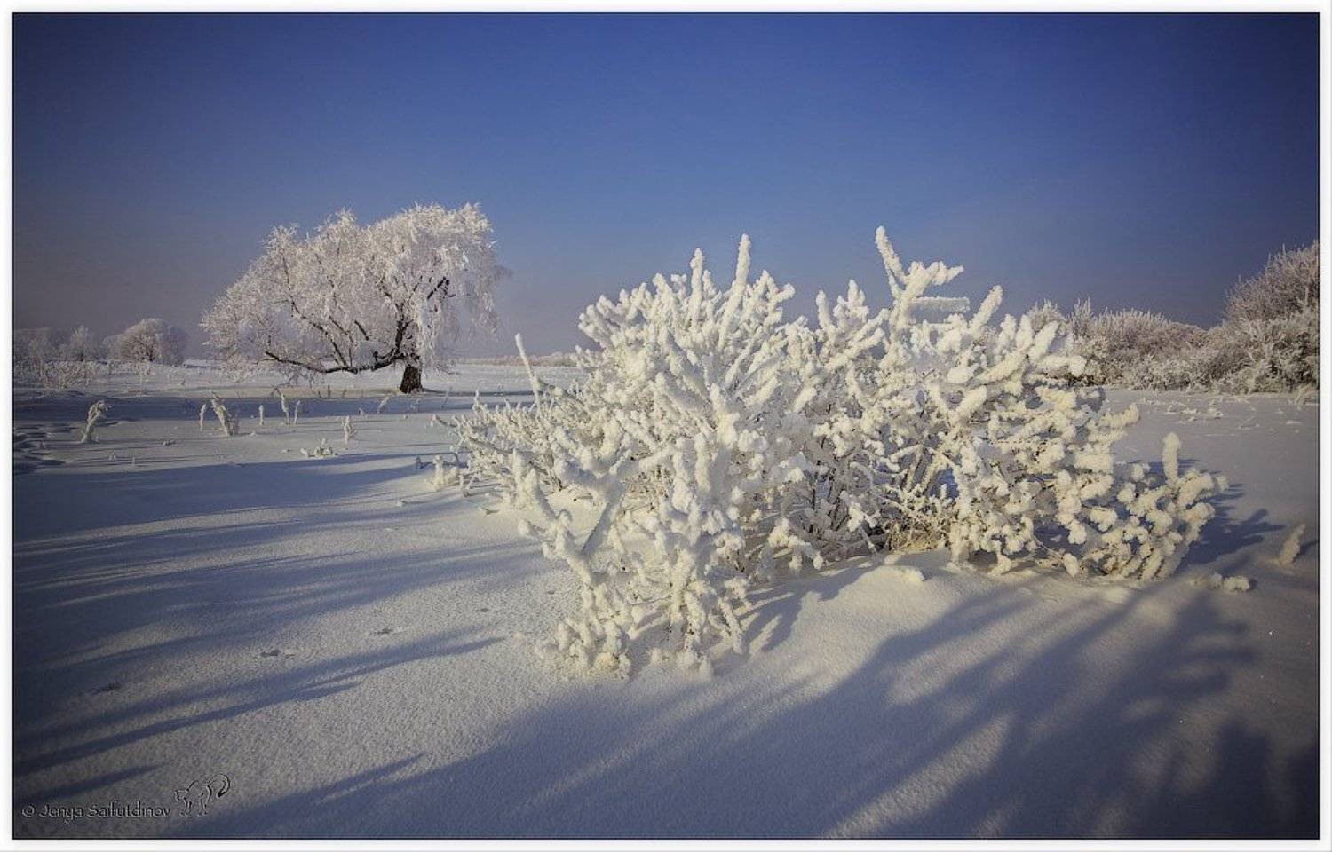, Евгений Мудренко