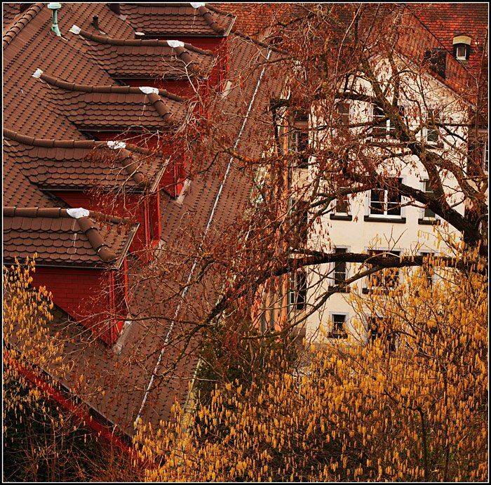 цюрих, городская зарисовка, Сергей Гаспарян