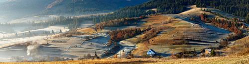 Теплые краски холодного утра