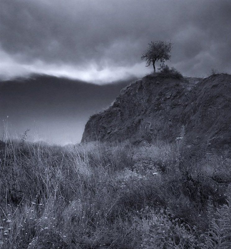 *** фото превью