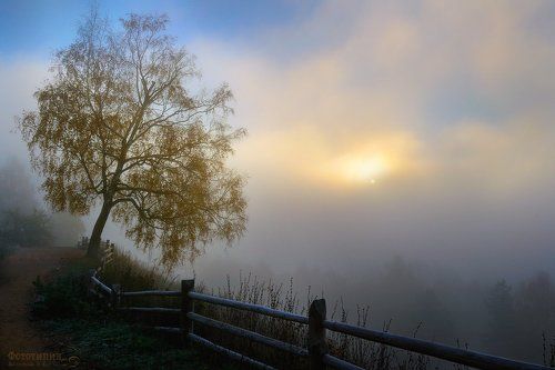 В тумане осеннего утра