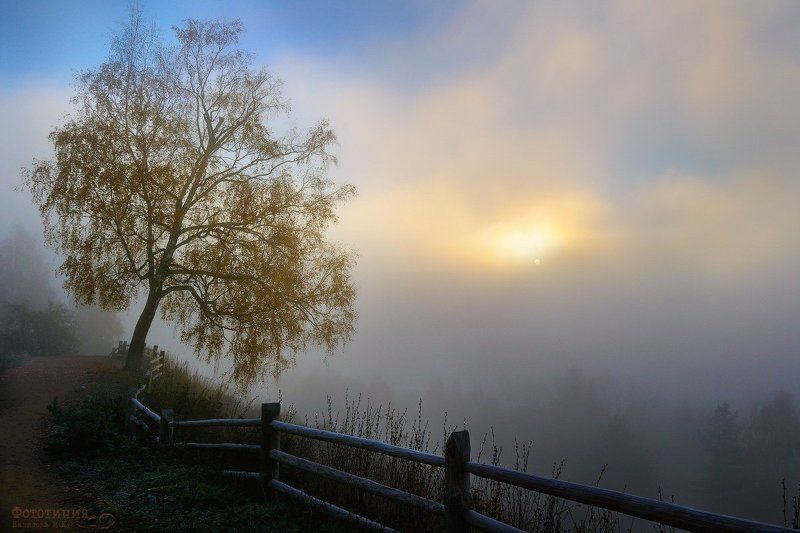 утро, туман, восход, плёс, плес В тумане осеннего утра фото превью