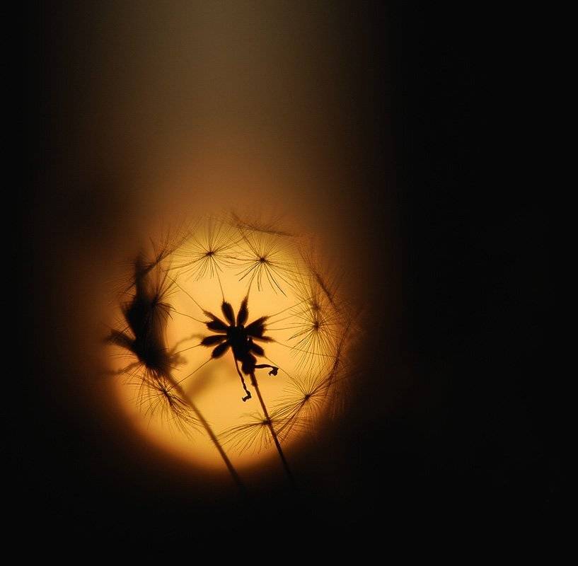 , Александр