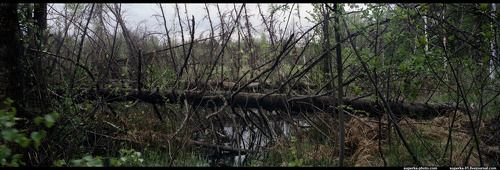 юрский период