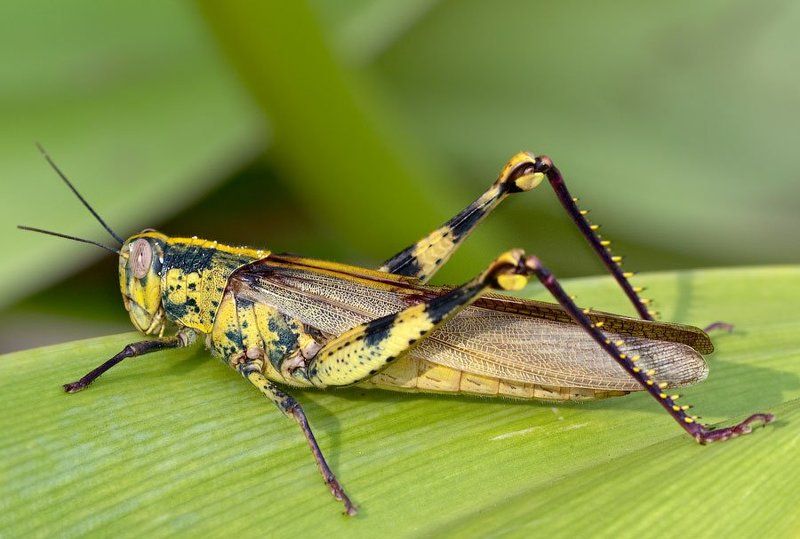 модели для фильма чужие фото превью