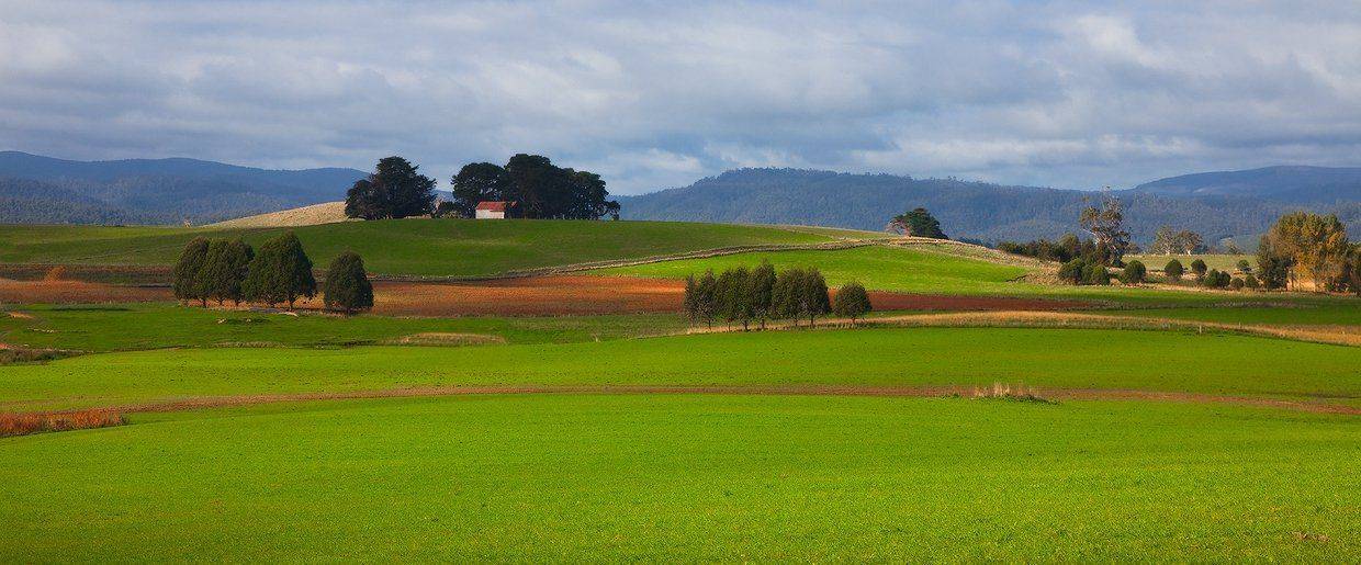 тасмания, Inesa Hill