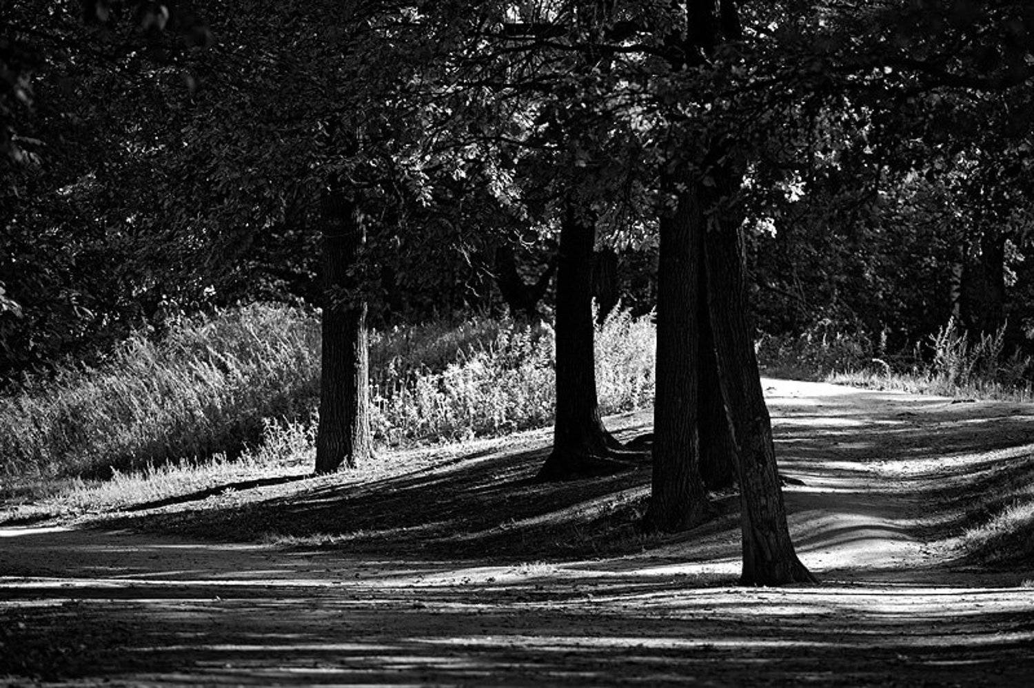 , Максим Юлдашев (maximyuldashev.ru)