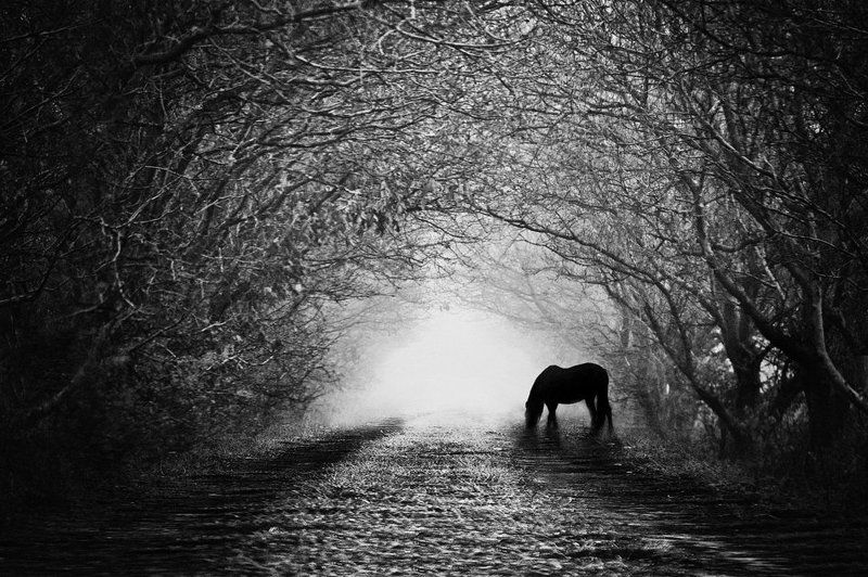 Туннель фото превью