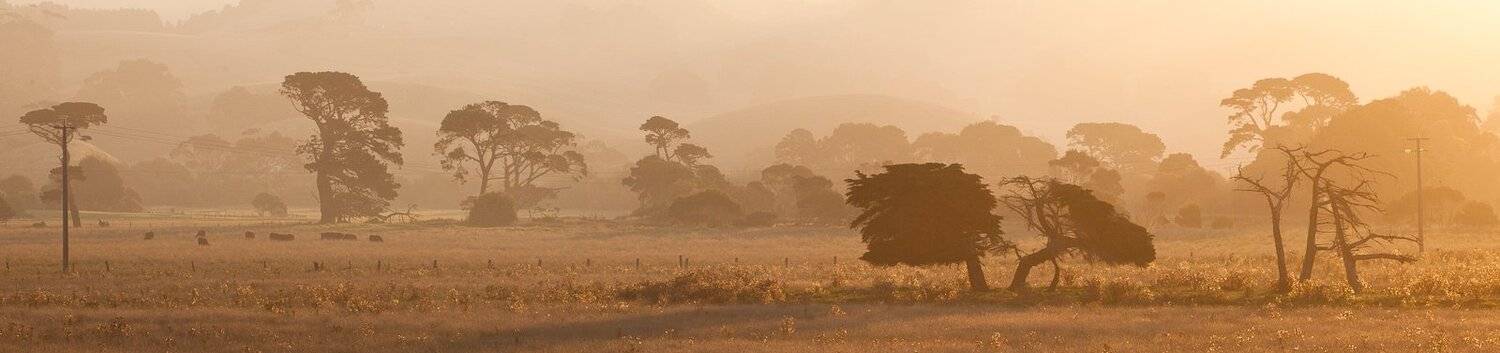 , Надежда Звягина / New Zealand