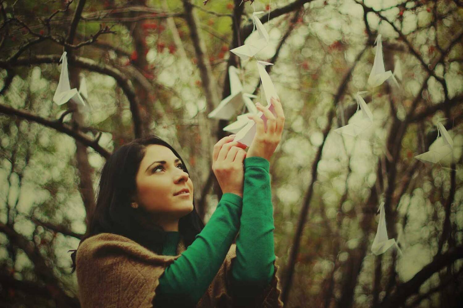 , Ladyagina Anastasia