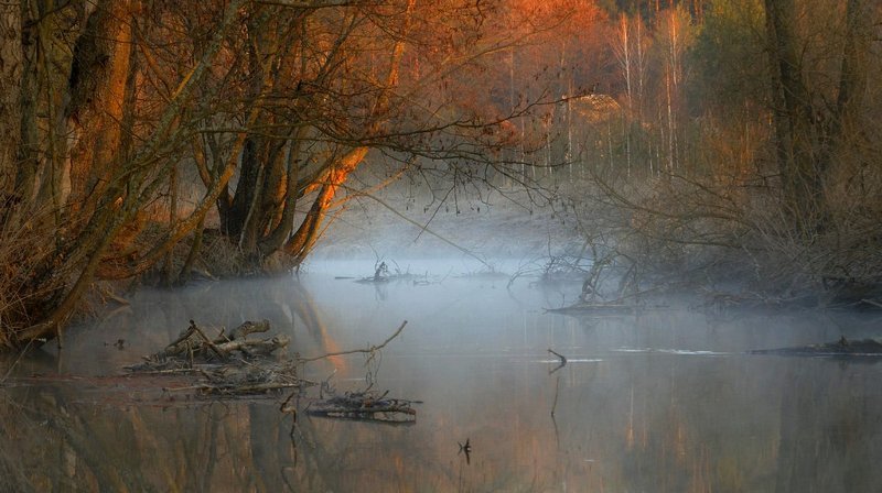 Утро года фото превью