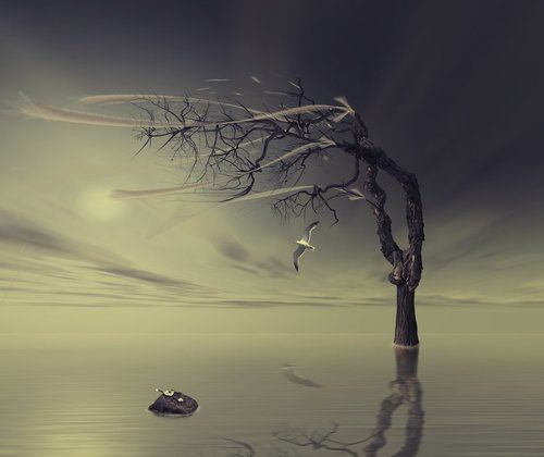 Cry of the autumn